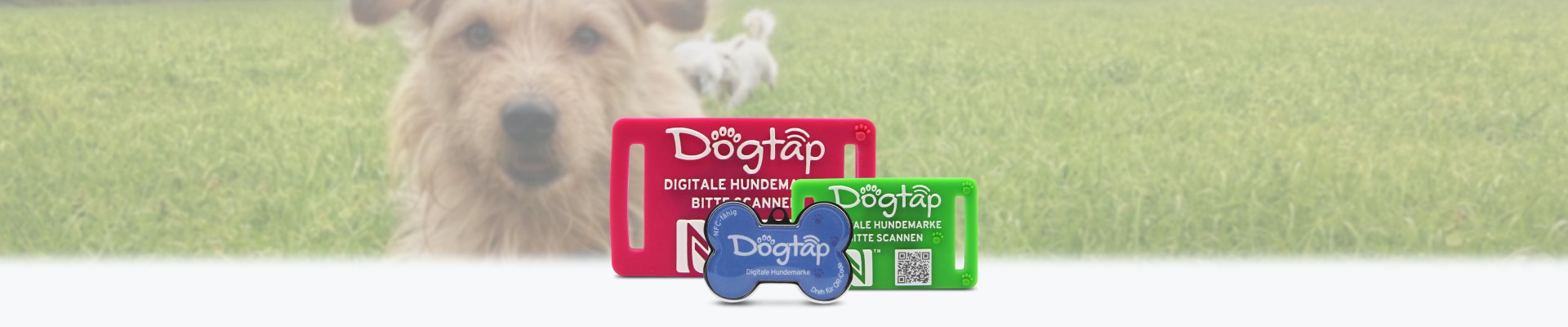 Dogtap - die digitale Hundemarke